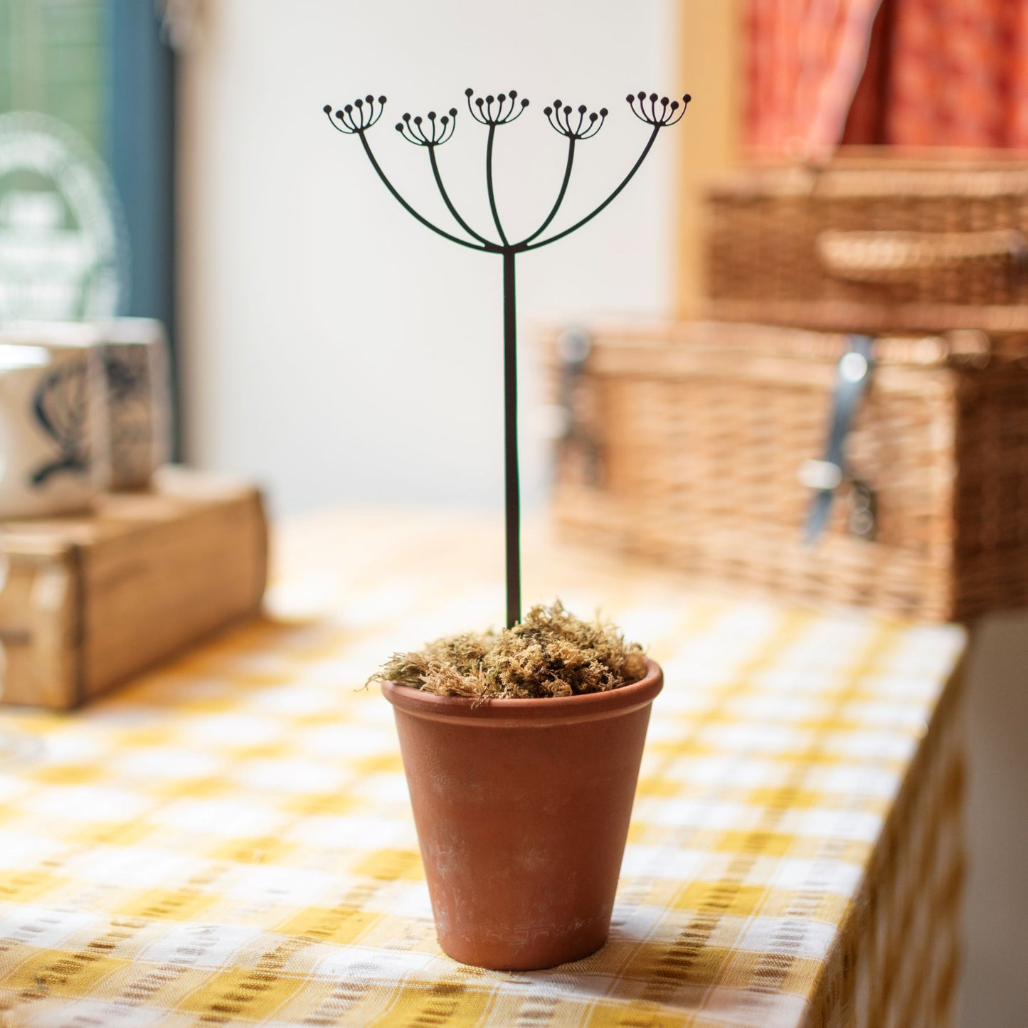 Pot stems - Cow parsley - THE BRISTOL ARTISAN
