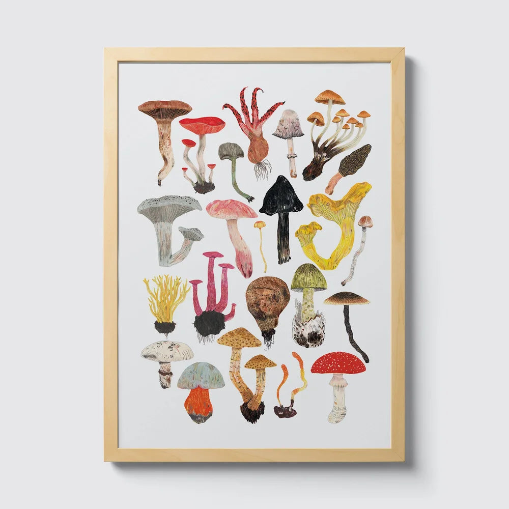 Mushroom and Toadstool A4 Print by James Barker - THE BRISTOL ARTISAN