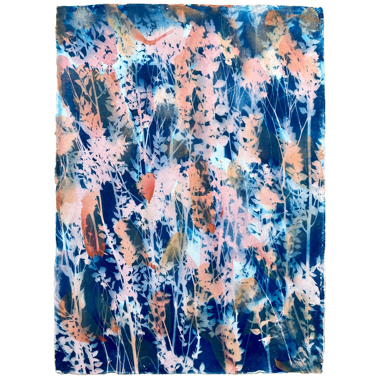 Ruscus - Original Artwork on paper