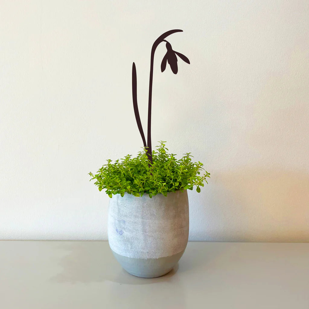 Pot Stems - Snowdrop - THE BRISTOL ARTISAN