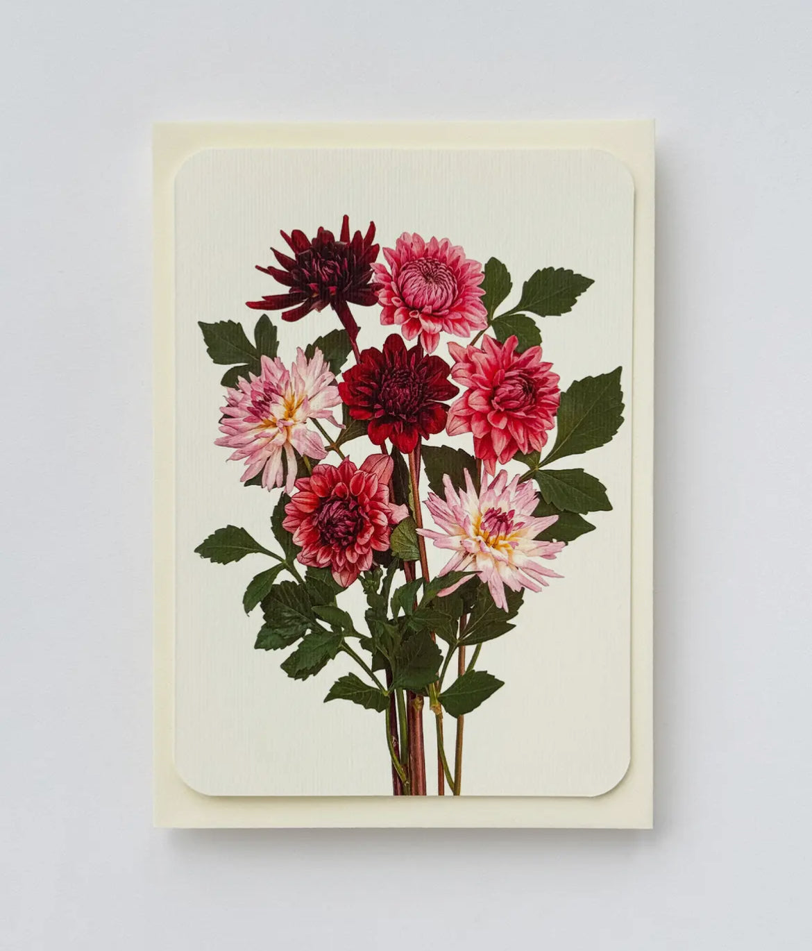 Garden Dahlias Greeting Card - THE BRISTOL ARTISAN