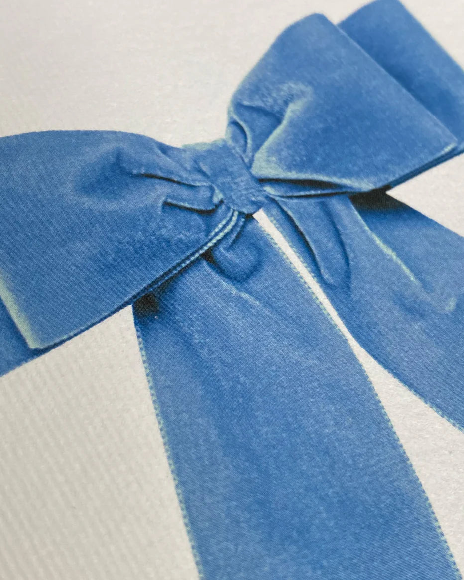 Baby Blue Velvet Bow Greeting Card - THE BRISTOL ARTISAN