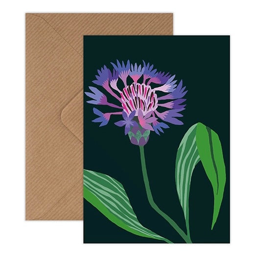 Mountain Cornflower Mini Cards - Pack of 8 - THE BRISTOL ARTISAN