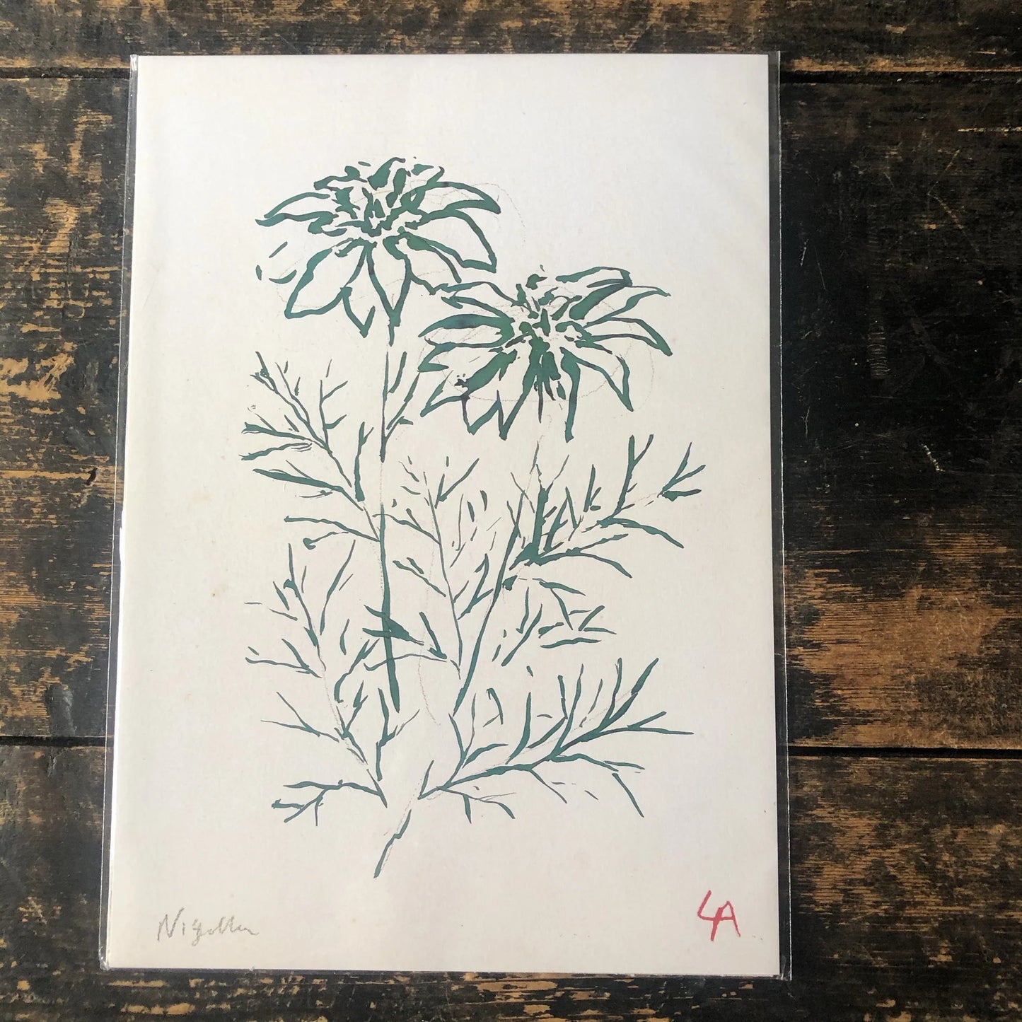 Nigela A4 Art Print - THE BRISTOL ARTISAN