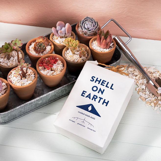 Crushed Whelk Shells - Mini bag (approx 1Kg)