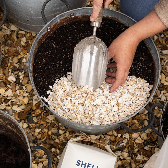 Crushed Whelk Shells - Small bag (approx 3Kg) - THE BRISTOL ARTISAN