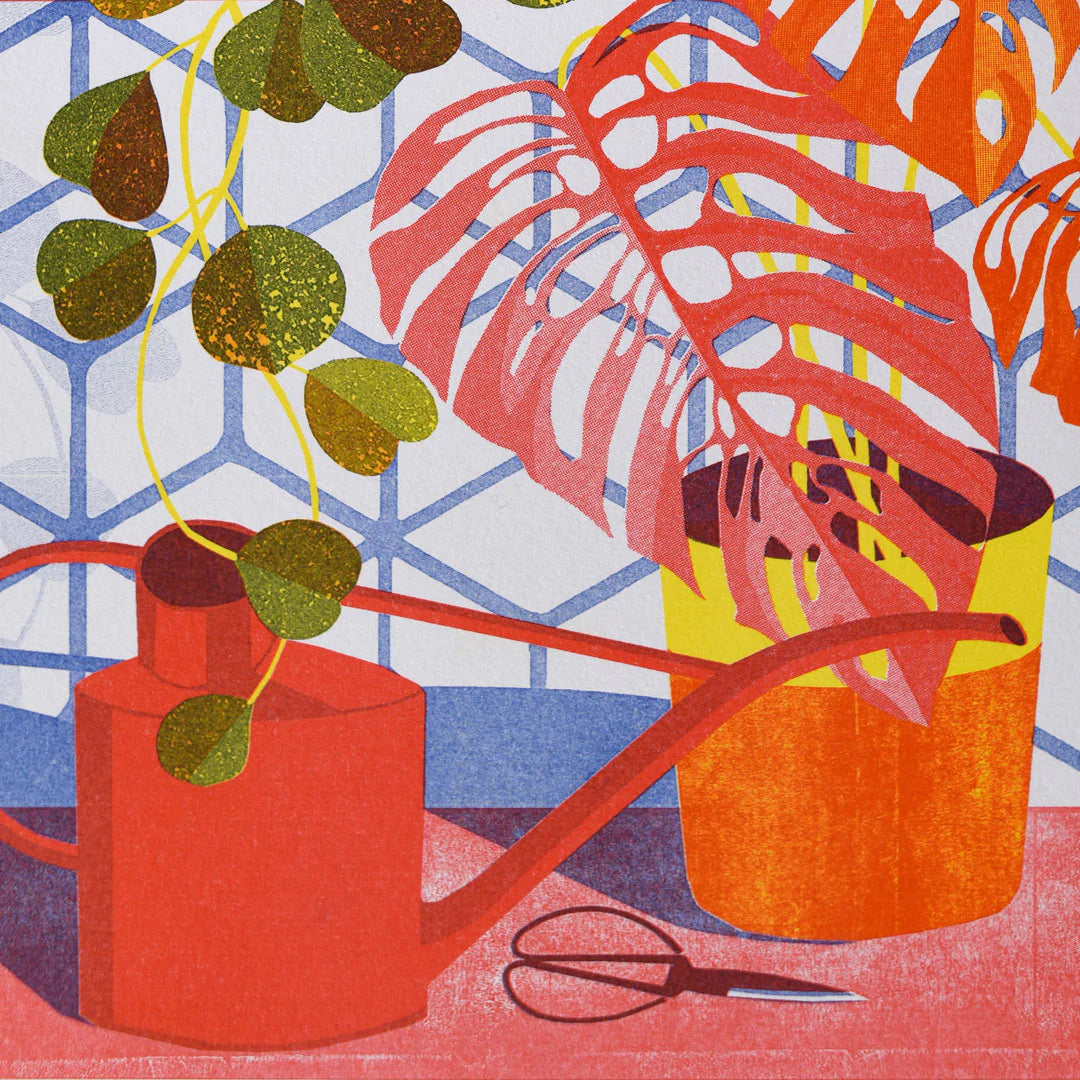 Hoya A3 Print - THE BRISTOL ARTISAN