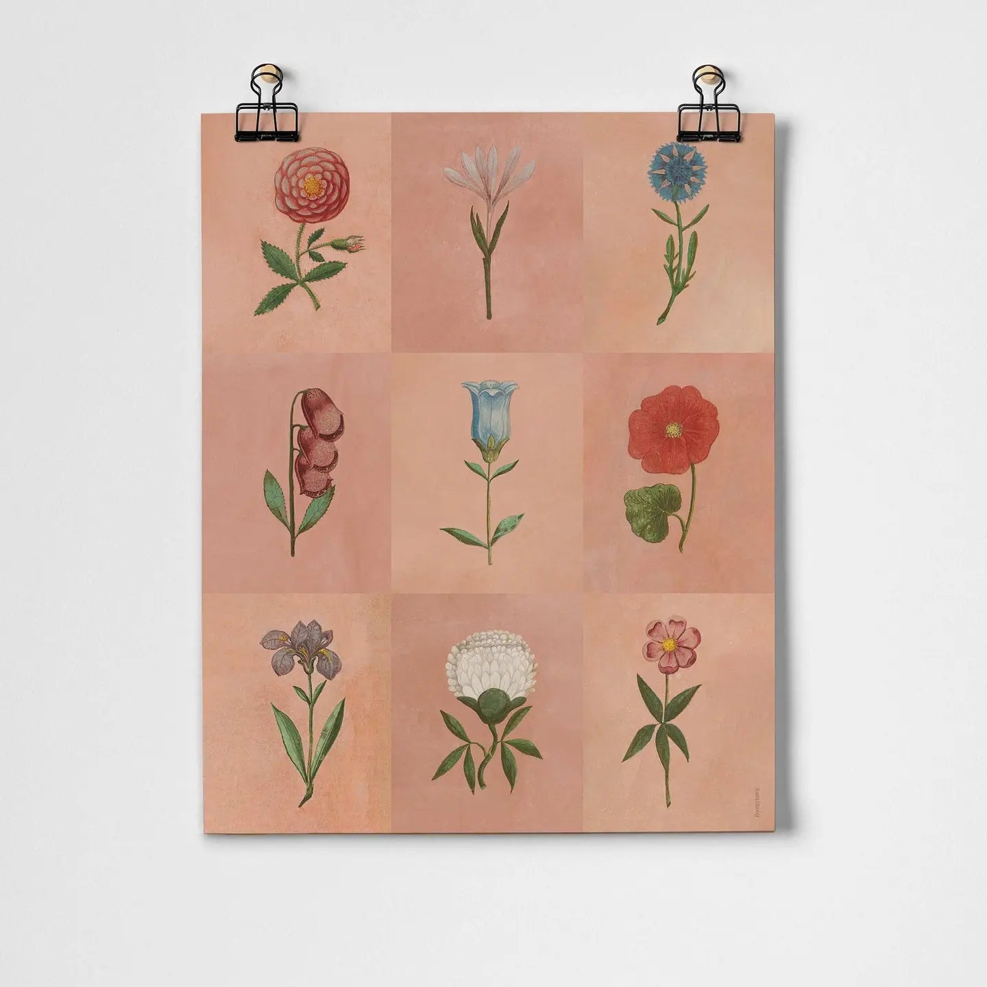 Pink festival of flowers Art print - A3 - THE BRISTOL ARTISAN