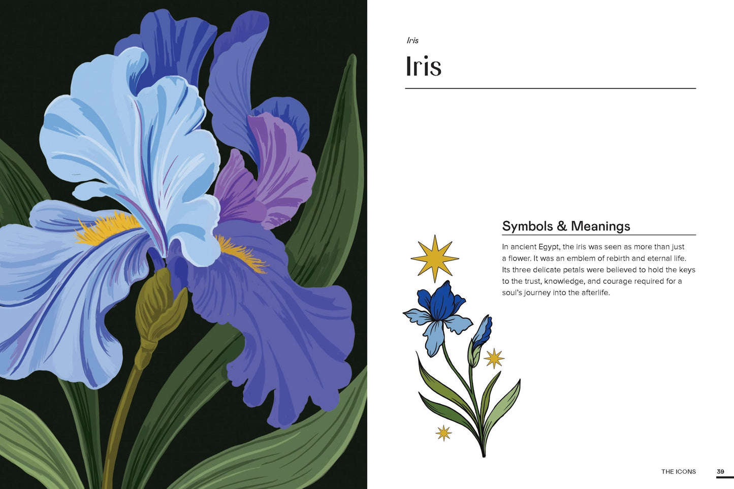 Floraphile’s Amanac - An Illustrated Miscellany