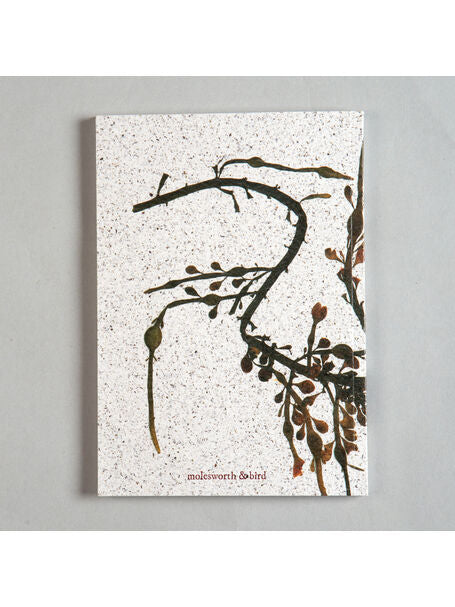 Seaweed Print A5 Notebook - Egg Wrack - unlined - THE BRISTOL ARTISAN