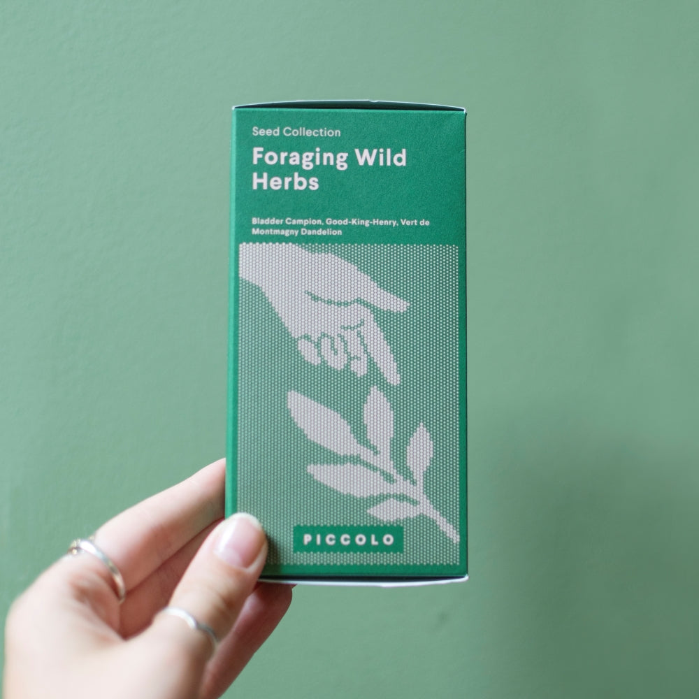 Foraging Wild Herbs Seed Collection - The Bristol Artisan Handmade Sustainable Gifts and Homewares.