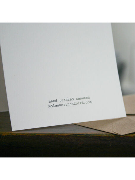 Beautiful Fan Weed card - THE BRISTOL ARTISAN