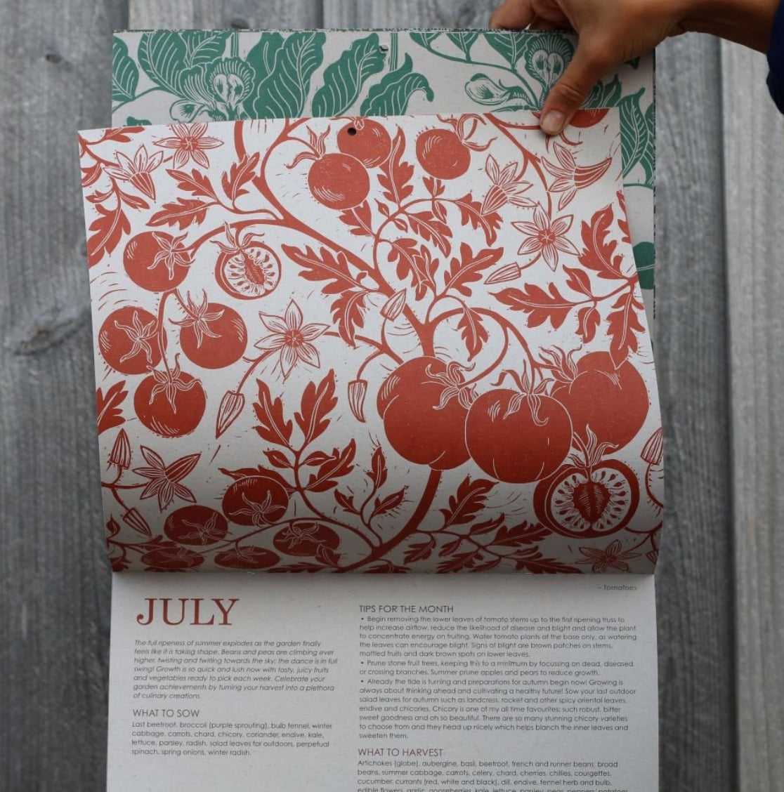 Growing Through the Seasons 2024 Calendar - The Bristol Artisan Handmade Sustainable Gifts and Homewares.