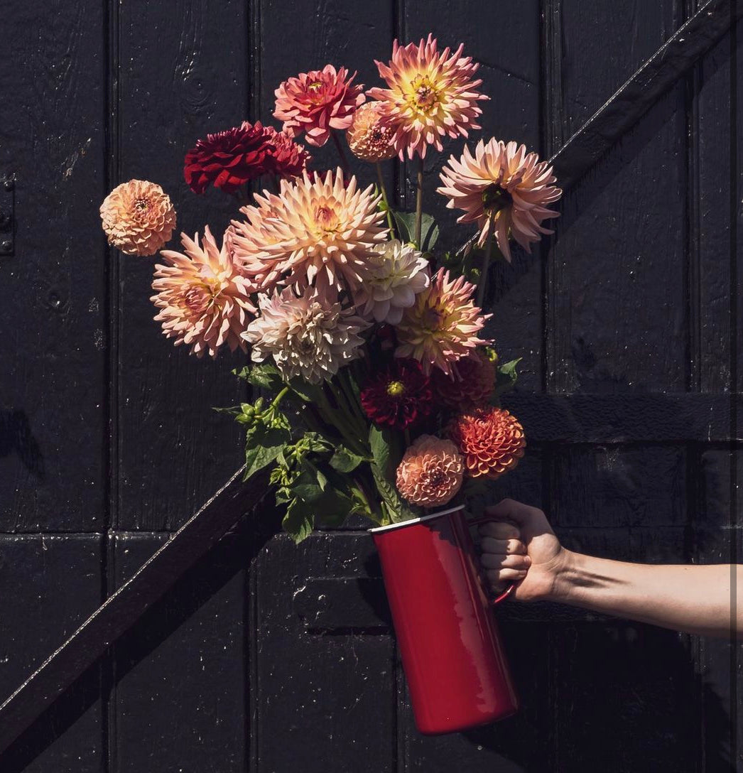 Enamel 3 pint jug - Bergundy - THE BRISTOL ARTISAN