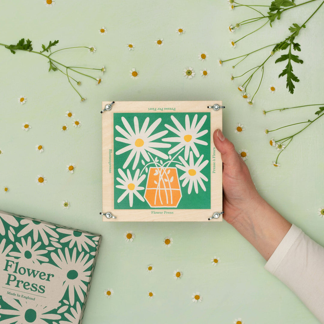 Flower Press - Daisy - The Bristol Artisan Handmade Sustainable Gifts and Homewares.