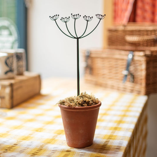 Pot stems - Cow parsley - THE BRISTOL ARTISAN