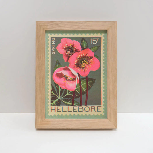 Hellebore A5 Print - THE BRISTOL ARTISAN