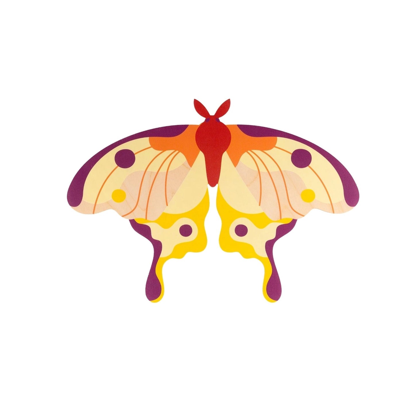 Comet Moth Butterfly Wooden Wall Decoration