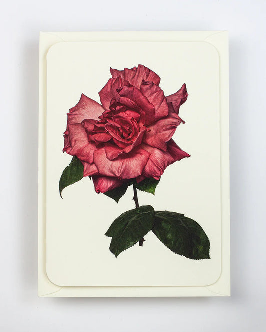 Garden Rose Greeting Card - THE BRISTOL ARTISAN