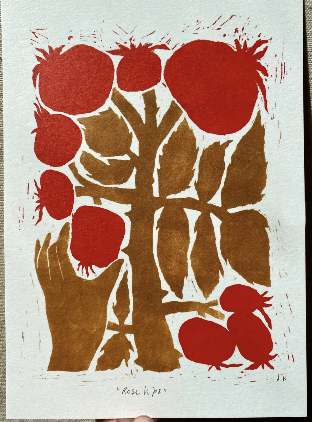Rosehips A5 Print