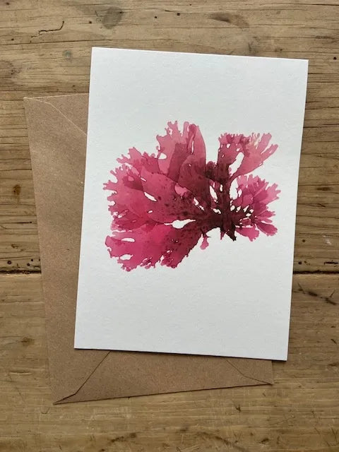 Beautiful Fan Weed Scilly card - THE BRISTOL ARTISAN