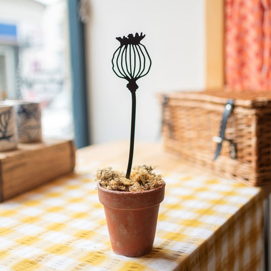 Pot stems - Poppy - THE BRISTOL ARTISAN