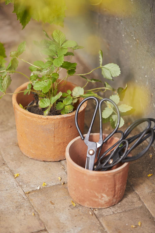 Metal scissors - THE BRISTOL ARTISAN