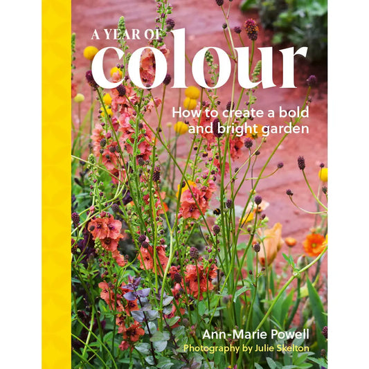 A Year of Colour - THE BRISTOL ARTISAN