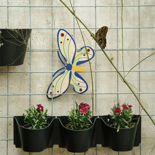 Birdwings Butterfly Wooden Wall Decoration - THE BRISTOL ARTISAN