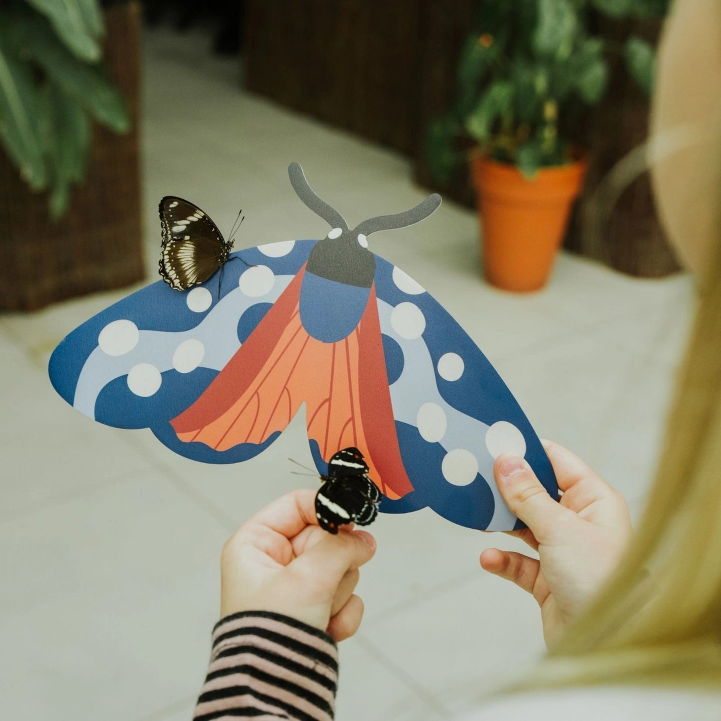 Six-spot Burnet Butterfly Wooden Wall Decoration