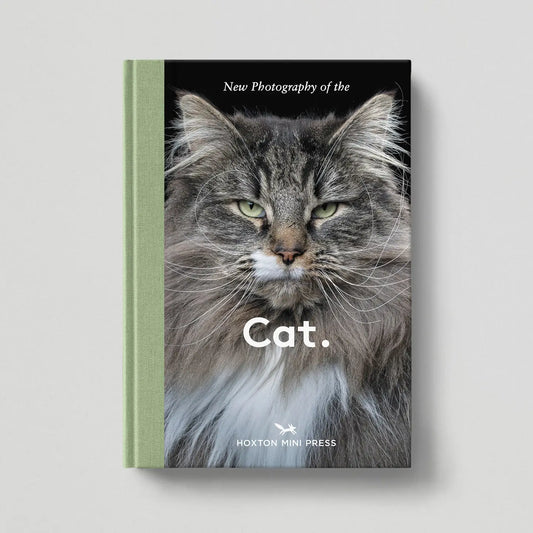 Cat - THE BRISTOL ARTISAN