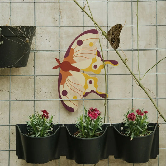 Comet Moth Butterfly Wooden Wall Decoration - THE BRISTOL ARTISAN