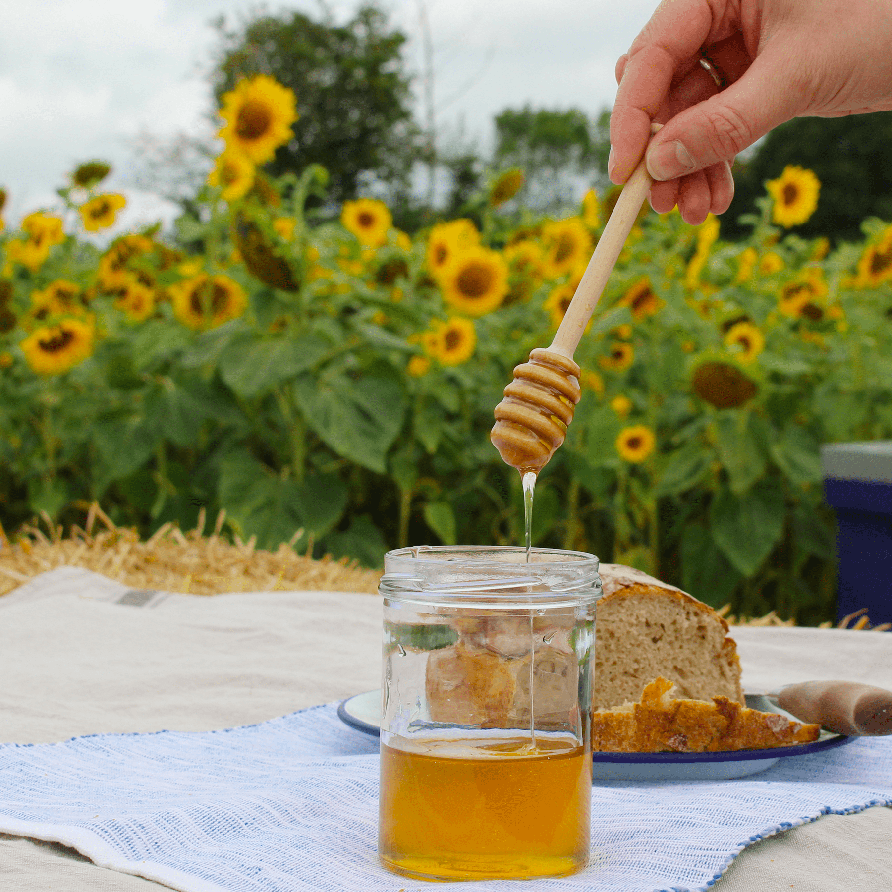 Beech Honey Dipper - THE BRISTOL ARTISAN