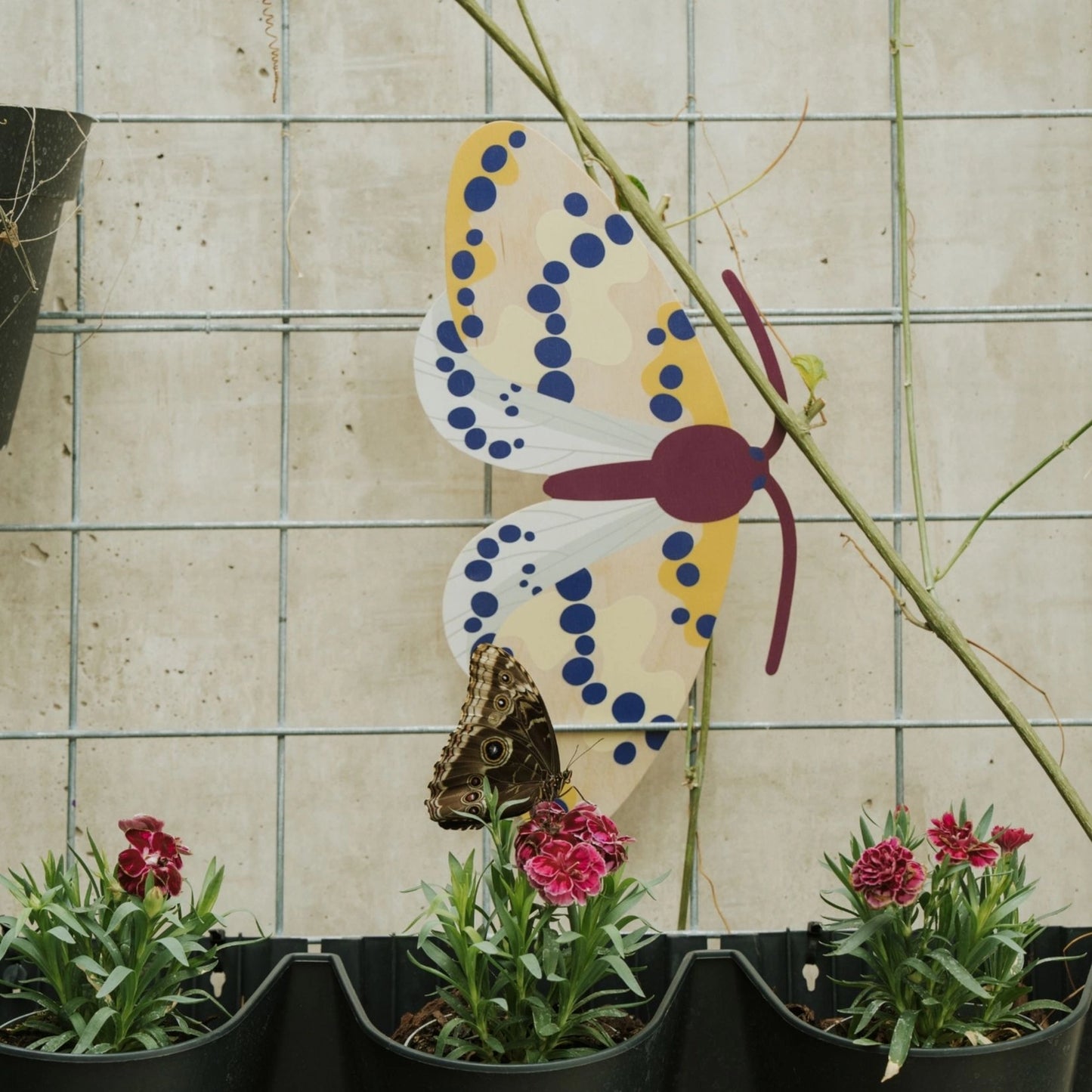 Magpie Butterfly Wooden Wall Decoration