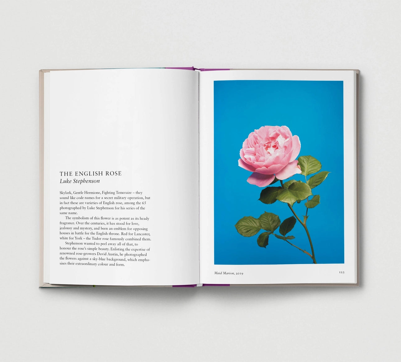 Flower - THE BRISTOL ARTISAN