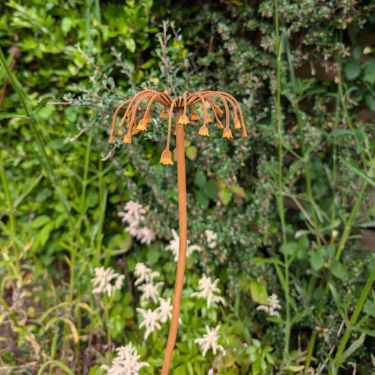 Metal Sicilian Honey Garlic Flower Sculpture - THE BRISTOL ARTISAN
