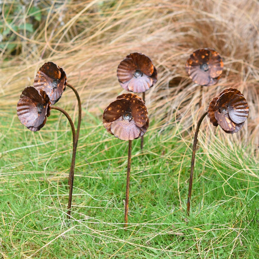 Rusty Metal Poppy Garden Sculpture - THE BRISTOL ARTISAN
