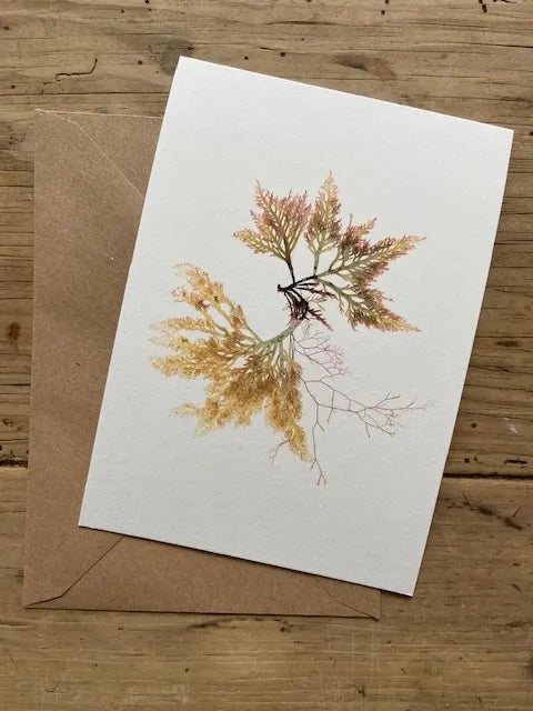 Royal Fern Weed Card - THE BRISTOL ARTISAN