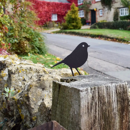 Robin Indoor/Outdoor Steel Ornament - THE BRISTOL ARTISAN