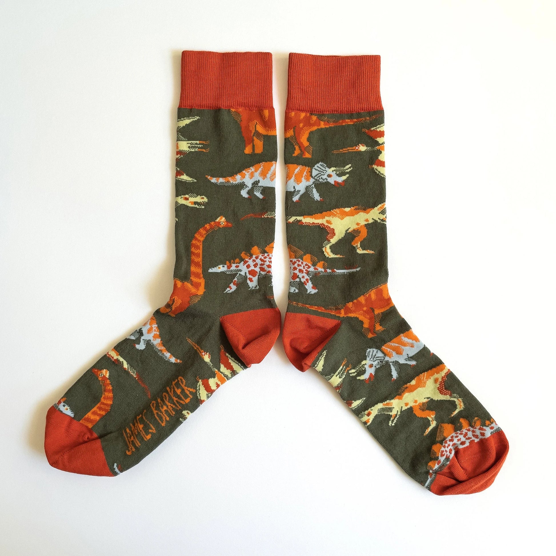 Dinosaurs Cotton Socks - UK 8-11 - THE BRISTOL ARTISAN
