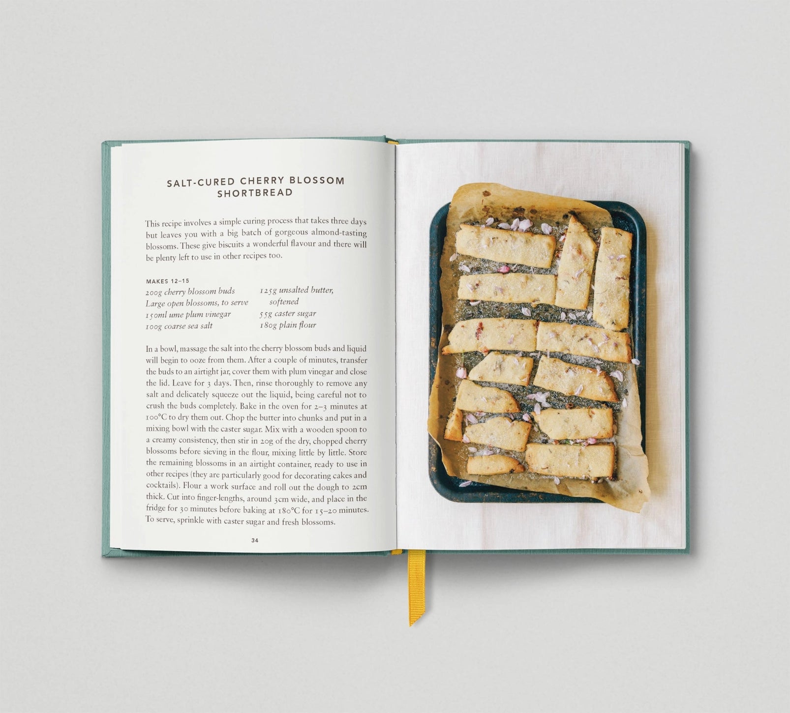 The Urban Forager - THE BRISTOL ARTISAN