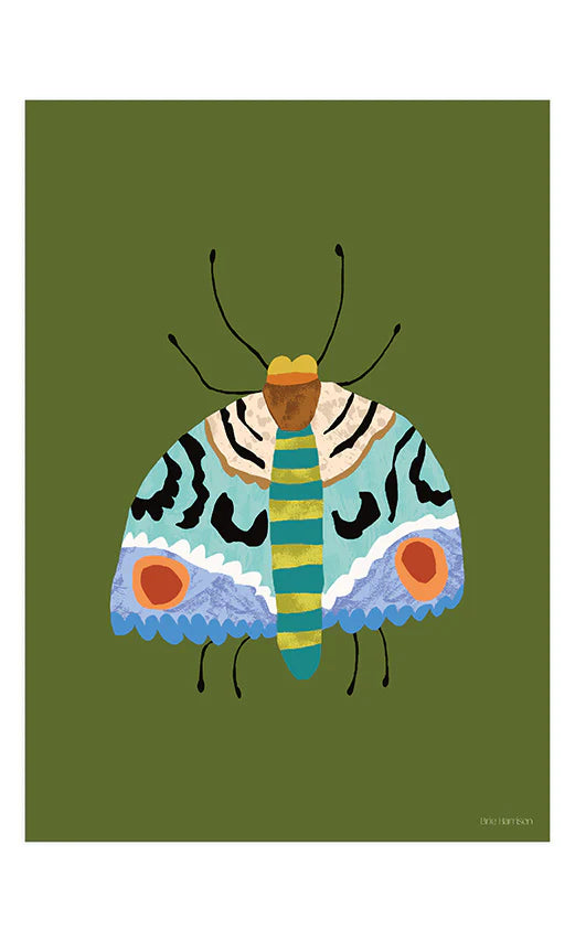 Brie Harrison Moth A4 Print - THE BRISTOL ARTISAN