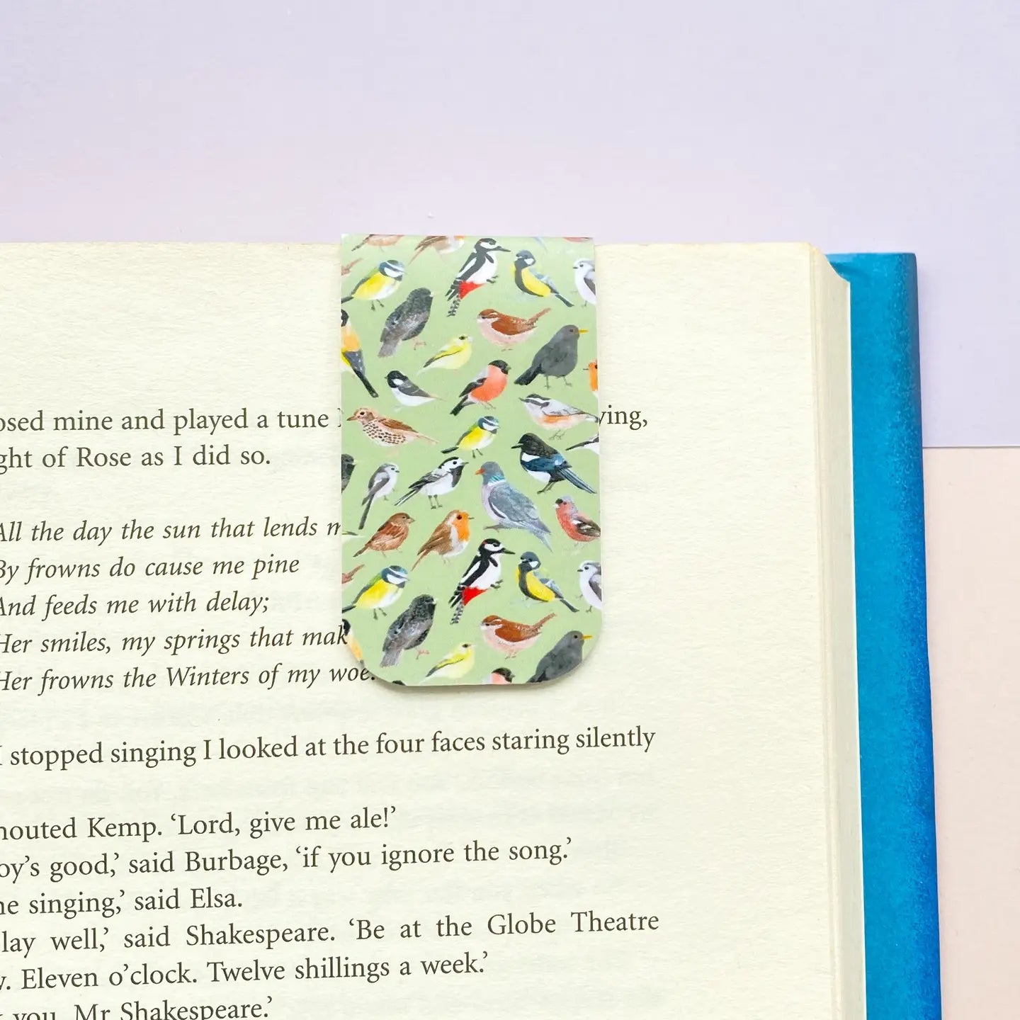 Magnetic Bookmark - Garden Birds - THE BRISTOL ARTISAN