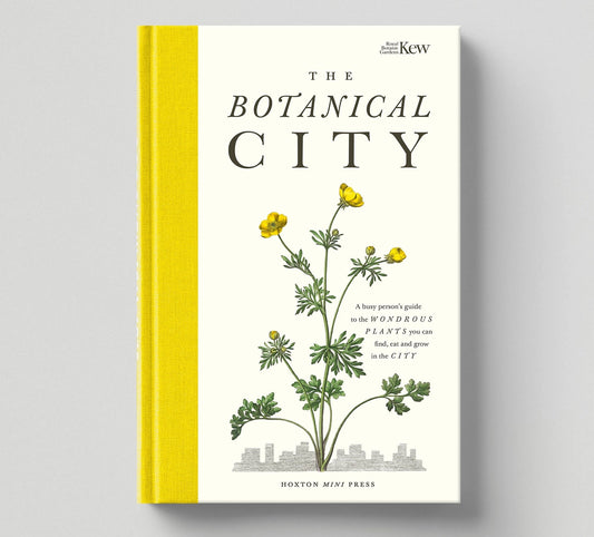 The Botanical City - THE BRISTOL ARTISAN