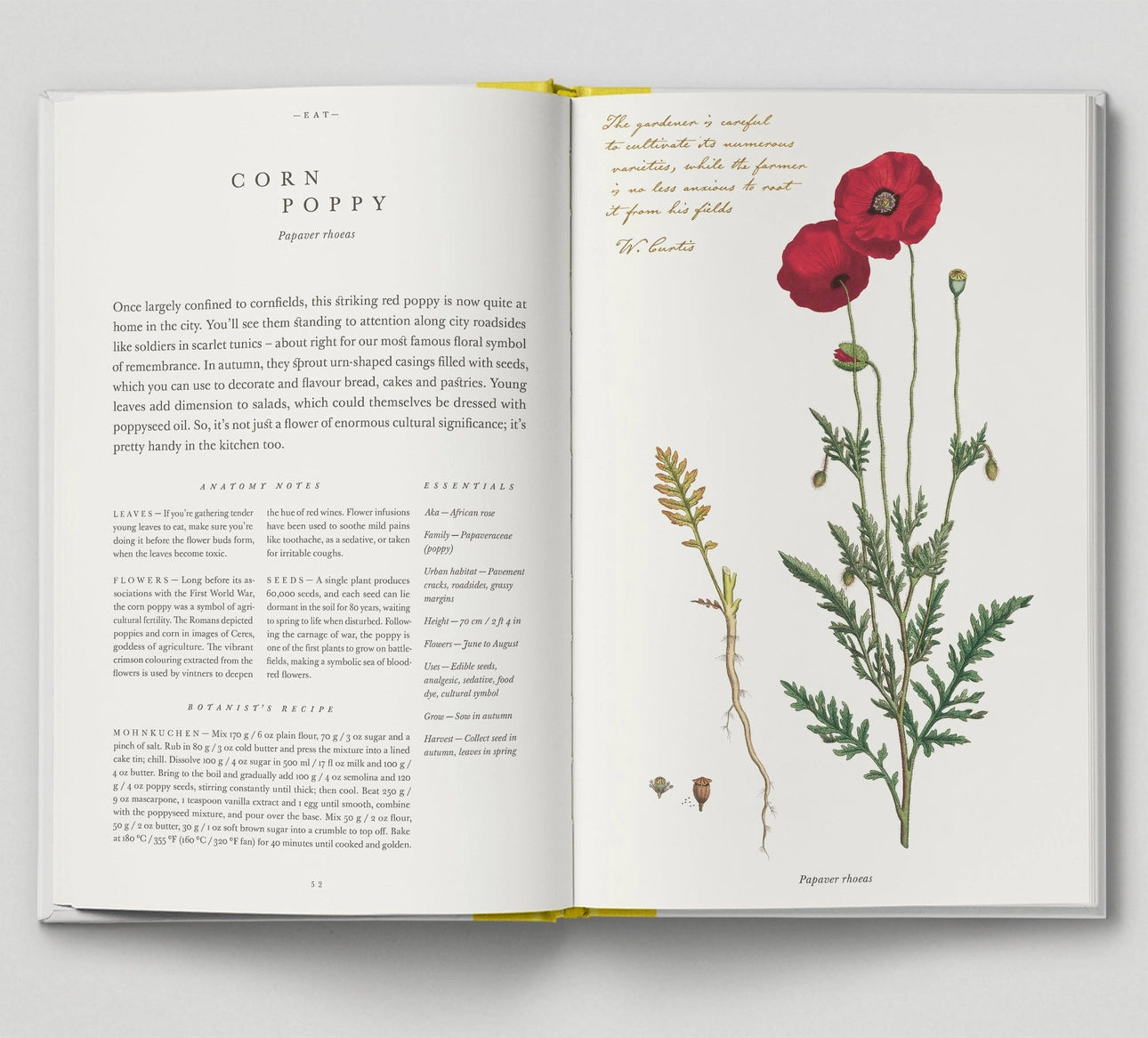 The Botanical City - THE BRISTOL ARTISAN