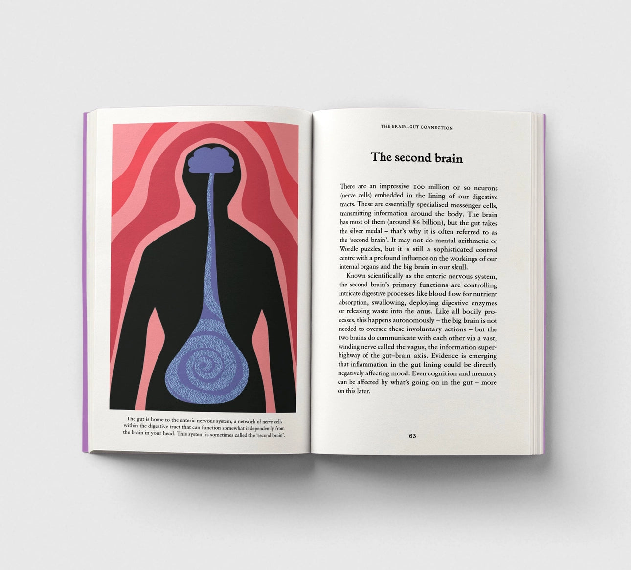 The Gut - A Pocket Primer - THE BRISTOL ARTISAN