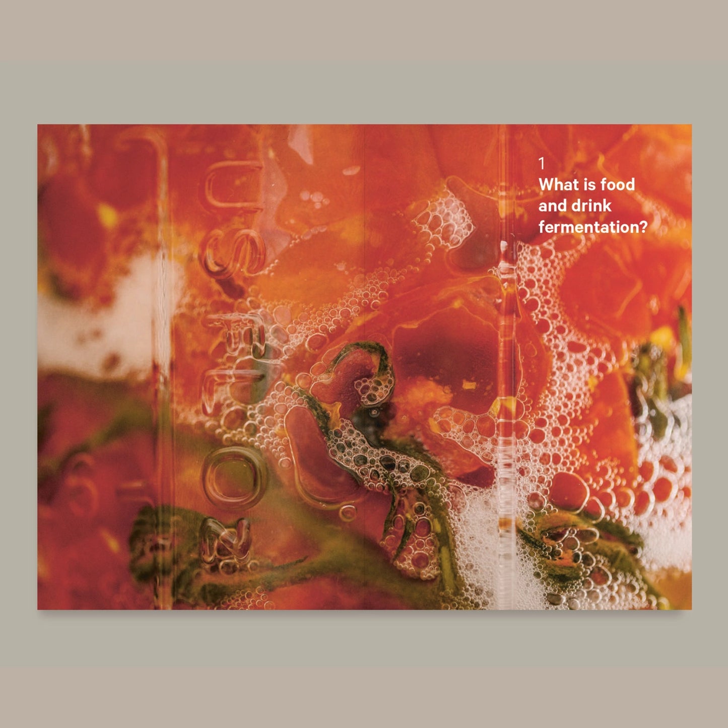 Do Ferment, Guide to Making Kimchi, Kefir and More - THE BRISTOL ARTISAN