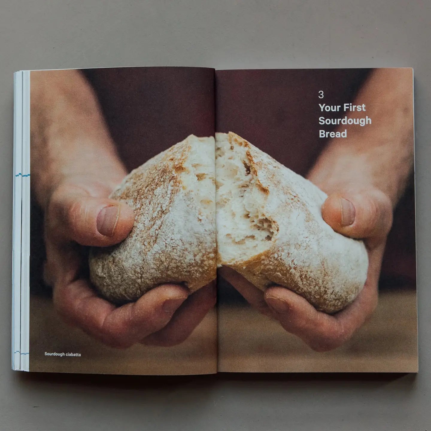 Do Sourdough, Popular Guide to Baking Sourdough - THE BRISTOL ARTISAN