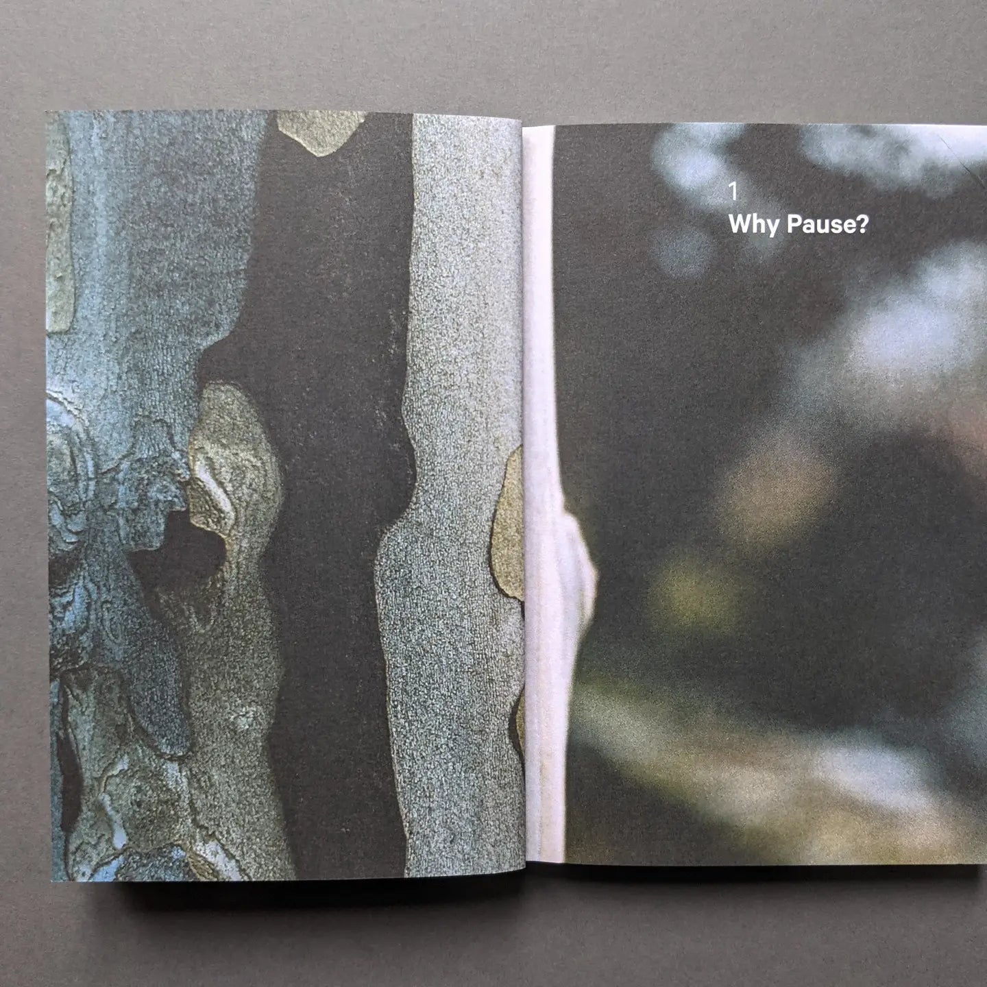 Do Pause, The Restorative Guide - THE BRISTOL ARTISAN