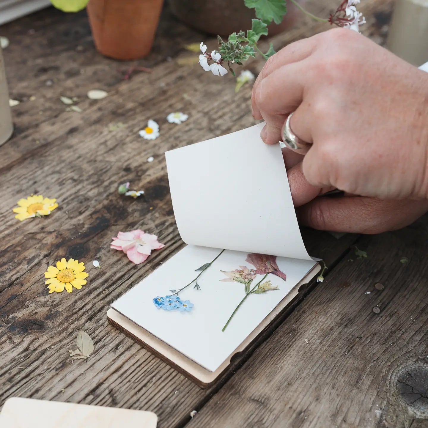 Pocket Flower Press - Vintage Buttercup - THE BRISTOL ARTISAN